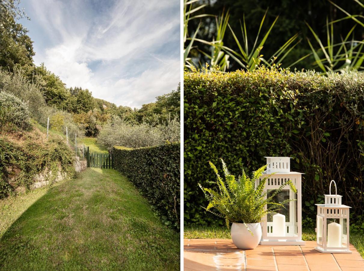 Casetta Di Butia, Gelsomino Apartment Borgo a Mozzano Dış mekan fotoğraf