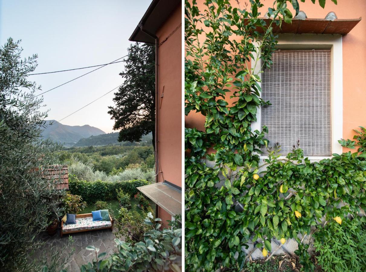 Casetta Di Butia, Gelsomino Apartment Borgo a Mozzano Dış mekan fotoğraf