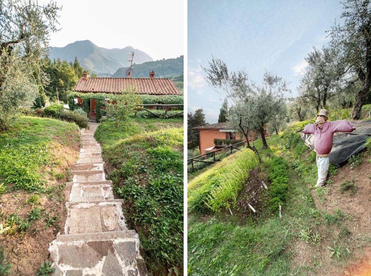 Casetta Di Butia, Gelsomino Apartment Borgo a Mozzano Dış mekan fotoğraf